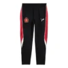 Balenciaga x Puma Fitted Tracksuit Pants “Black Red” 846989TTVB21076