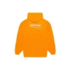 FW21 Logo Hoodie Orange 578135TKVE97073