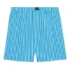 FW21 Striped Shorts “Blue” 6583964A8B74900