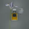 Le dix parfum
