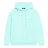 Logo Hoodie Medium Fit “Terquesa” 600583TLVB83062