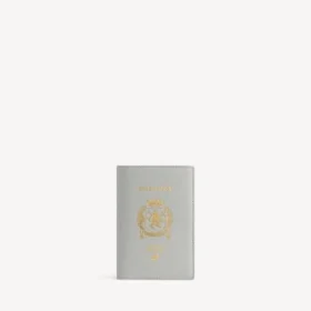 Men’s passport holder in balenciaga grey