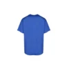 Small Logo Print Cotton T-Shirt “Blue” 556150TBV438077